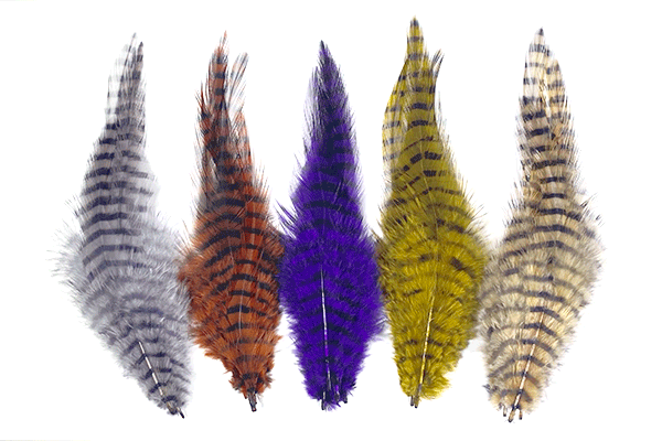Barred Saddle Hackle