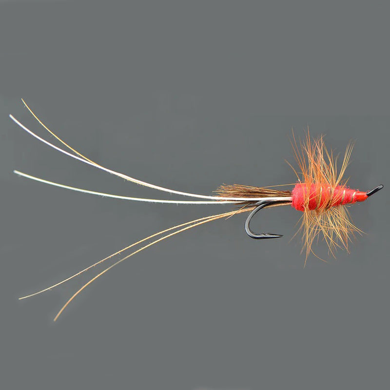 Micro Double - Red Francis