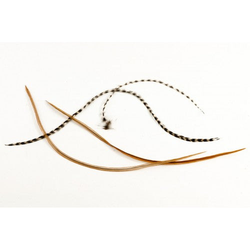 Whiting Hackle Select - 10 Feathers