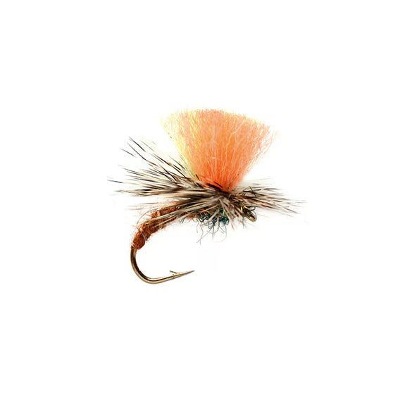Indicator Klinkhammer Orange