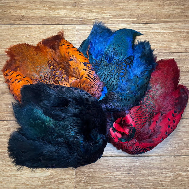 Ringneck Pheasant - Full Skin Dyed