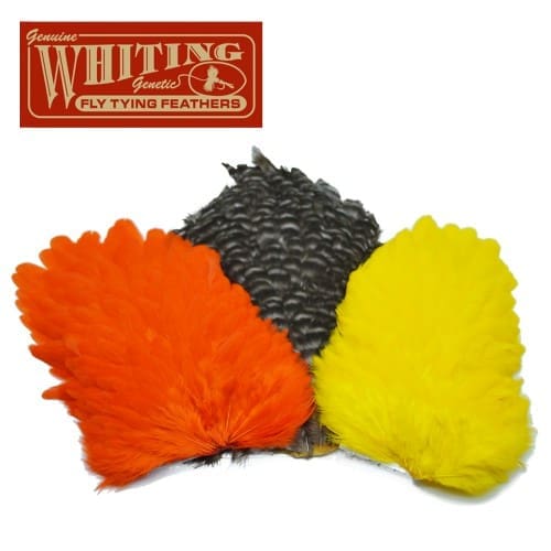 Whiting 4B - Selle de poule