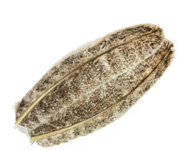 Plume de Dinde - Mottled Oak - Mottled Oak #2