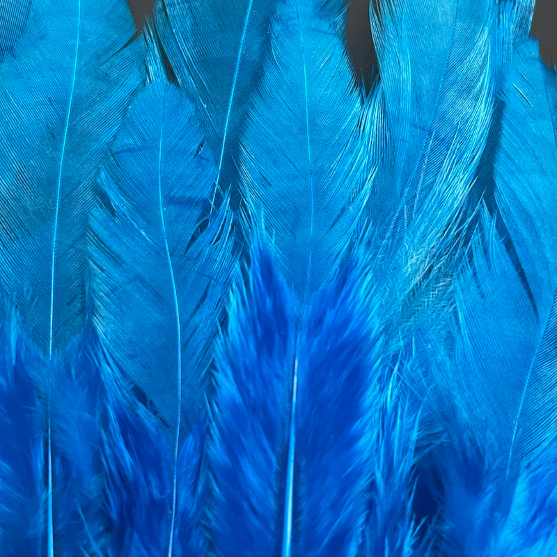 Whiting Hen Saddle Pack - 10 Feathers