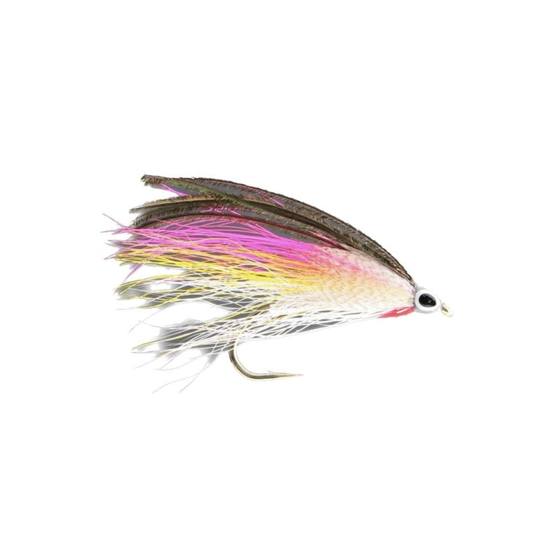 Rainbow Smelt