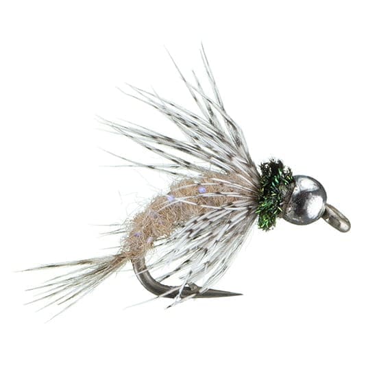 Anderson's Bird of Prey