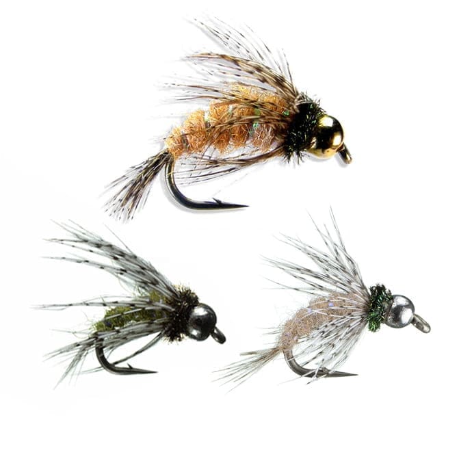 Anderson's Bird of Prey