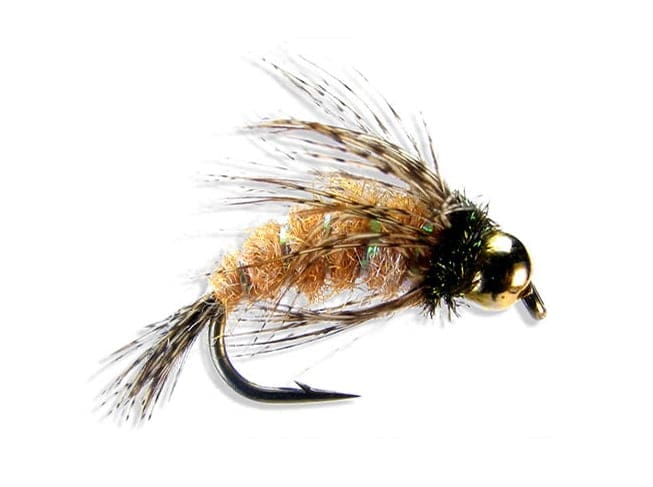 Anderson's Bird of Prey