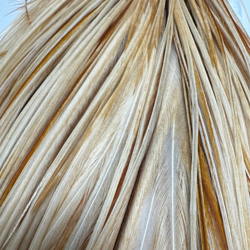 Whiting Hebert Miner Dry Fly - Half Cape