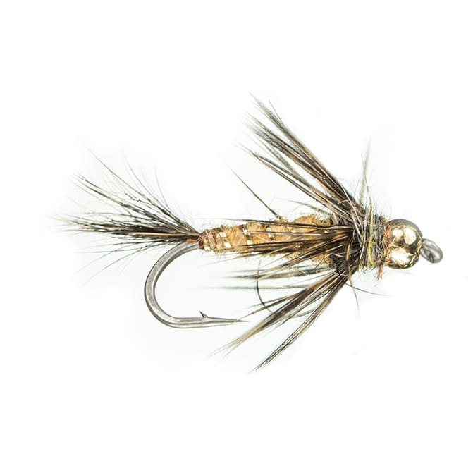 Nymphe d'écureuil de renard roux BH