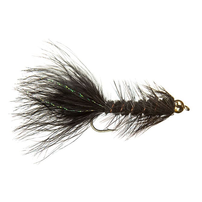 BH Woolly Bugger
