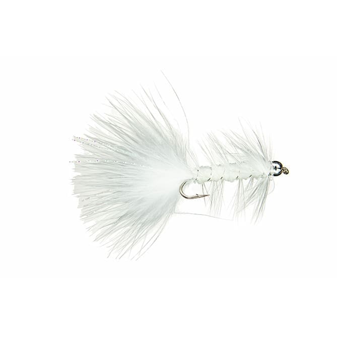 BH Woolly Bugger