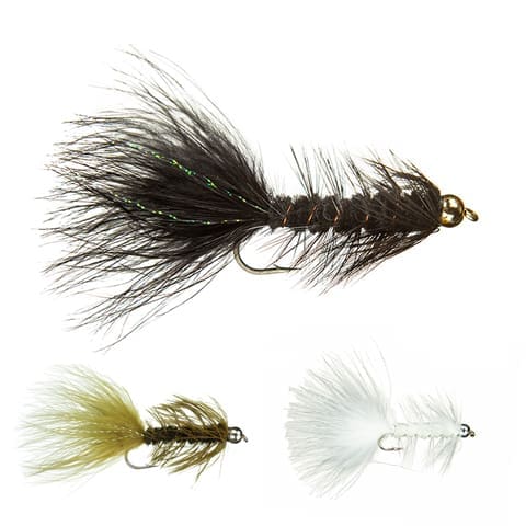 BH Woolly Bugger