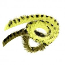 Barred Rabbit Zonker - Magnum