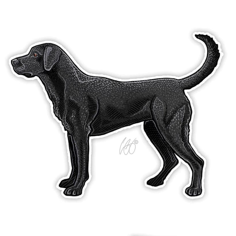 Black Lab Sticker