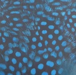 Premium Guinea Fowl Feathers
