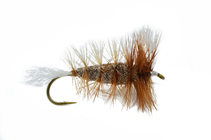 Bomber marron - Hackle marron