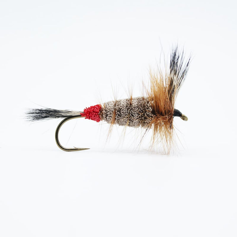 Hazel Red Butt Bomber