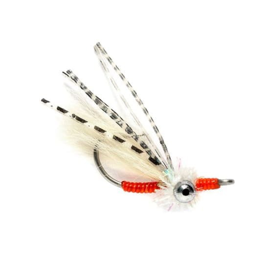 Bone Crusher Shallow