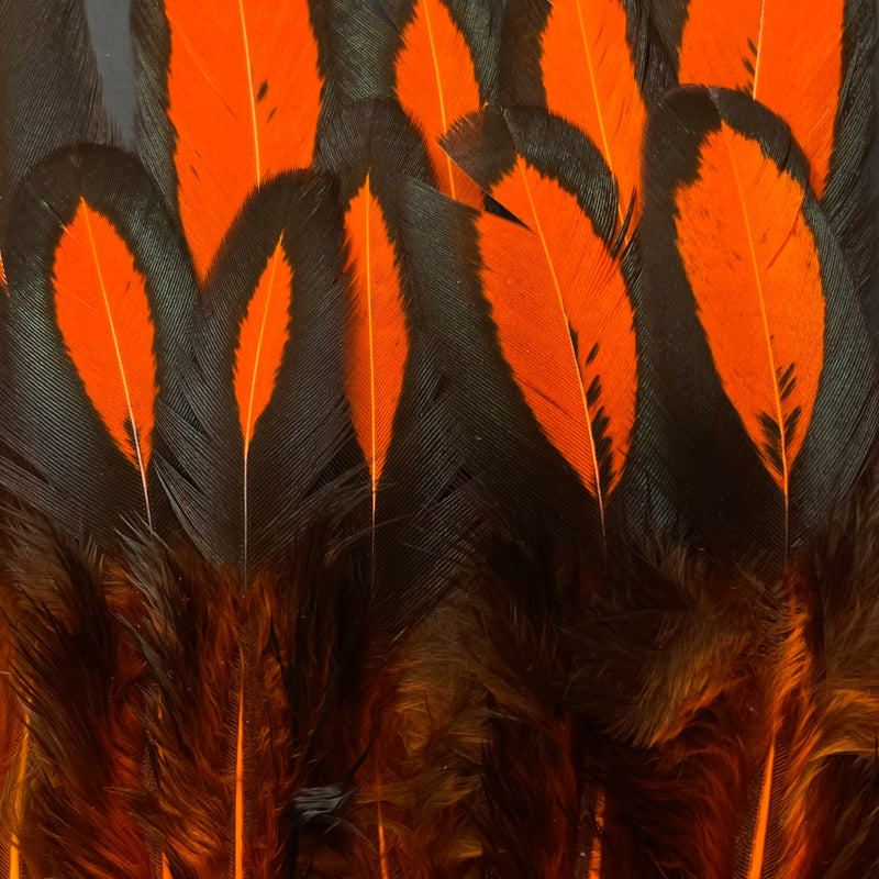 Whiting Hen Saddle Pack - 10 Feathers