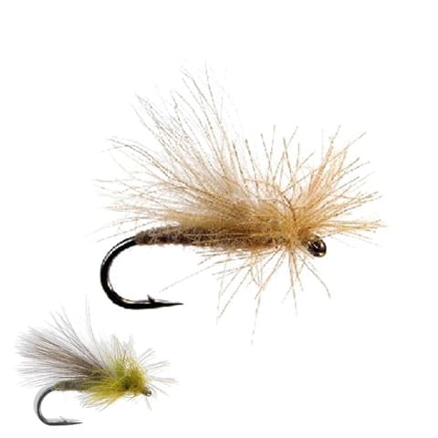 CDC Caddis
