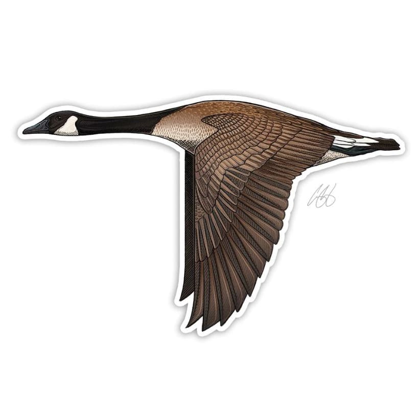 Canada Goose Sticker — Boutique Salmo Nature