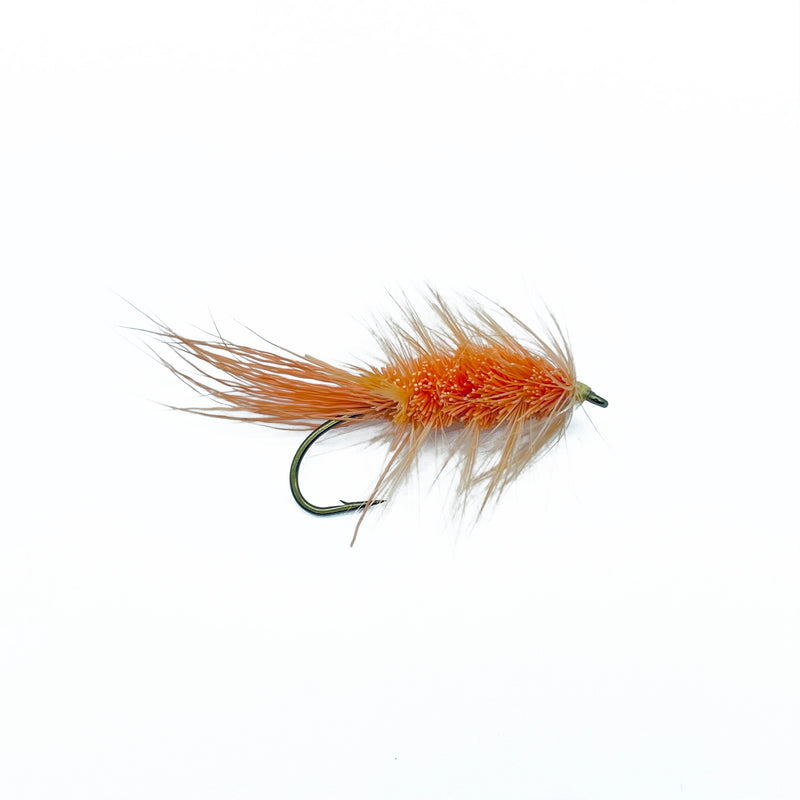 Shrimp Carter Bug