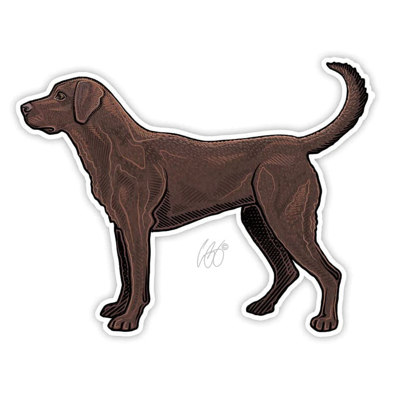 Chocolate Lab Sticker