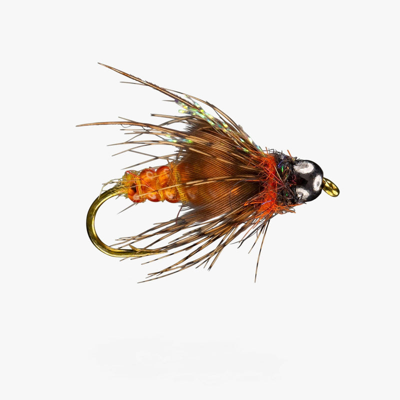 Morrish Deep October Pupa