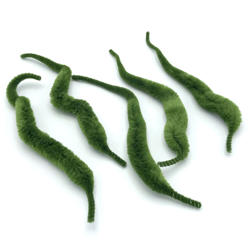 Queue de dragon de Mangum