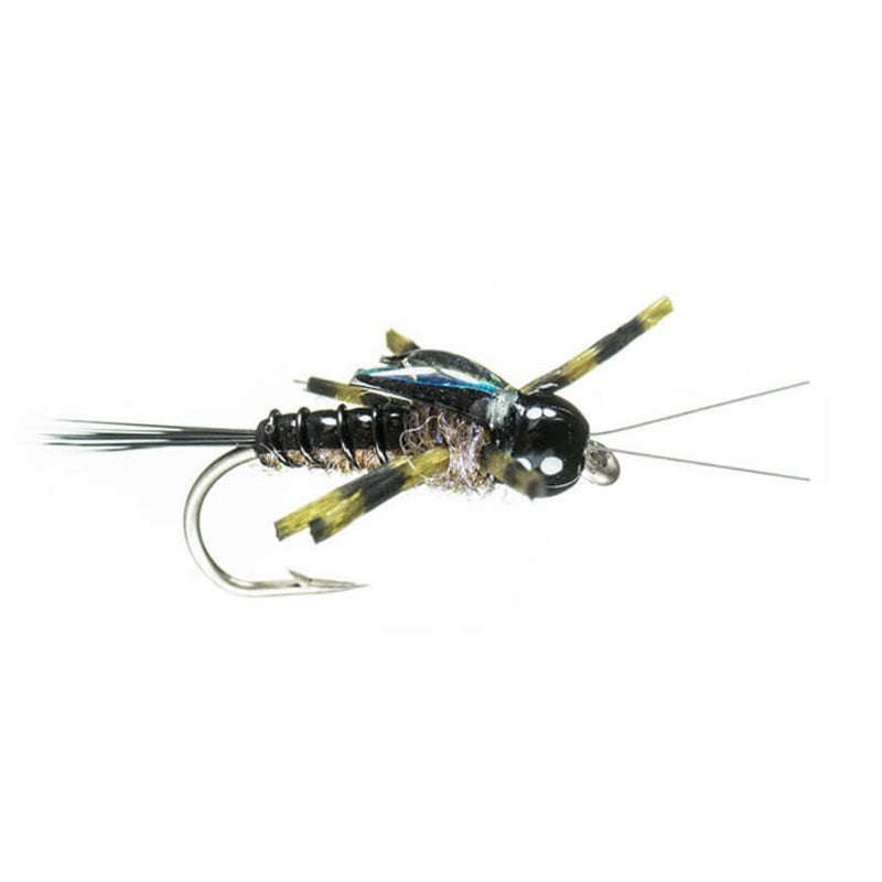 Dunnigan's Green Drake Nymph