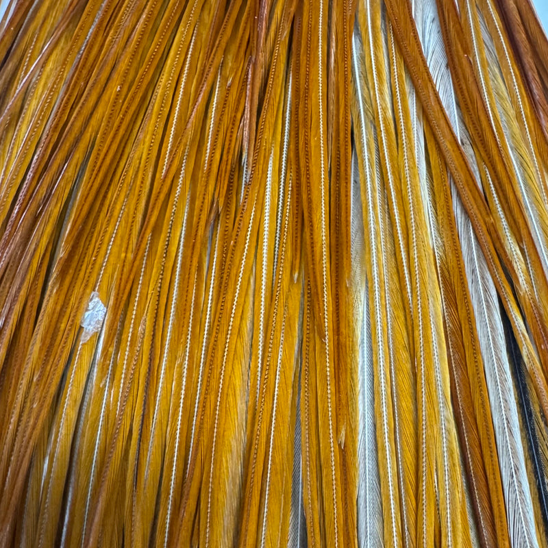 Whiting Hebert Miner Dry Fly - Half Cape