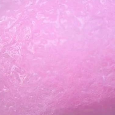 Eggstasy NX-Gen Fiber