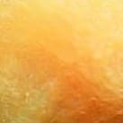 Eggstasy NX-Gen Fiber