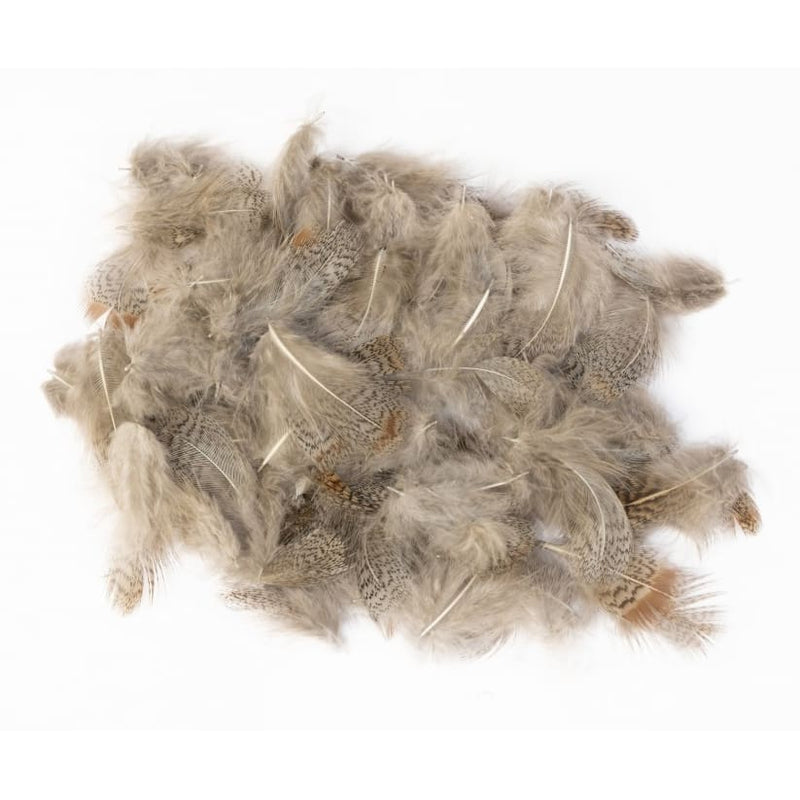 English Partridge Grey Neck - Loose Feathers