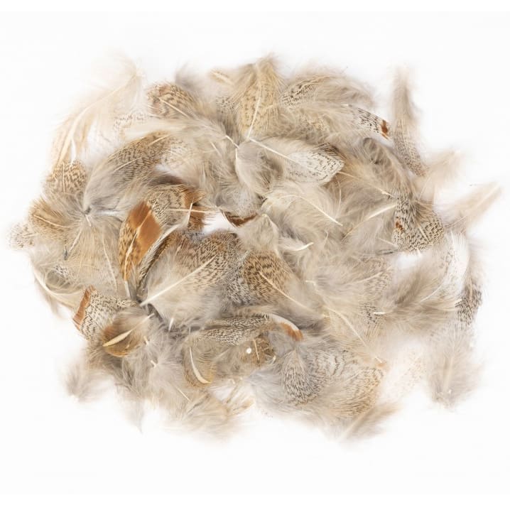 English Partridge Grey Neck - Loose Feathers
