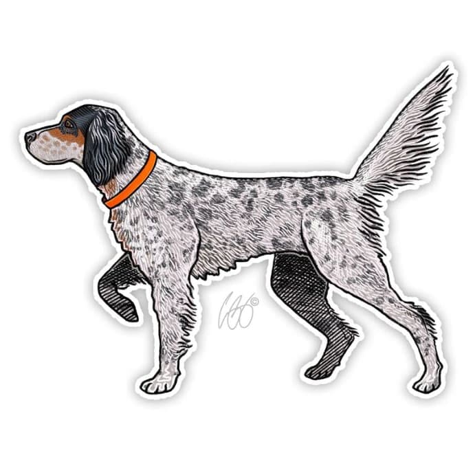 English Setter Sticker