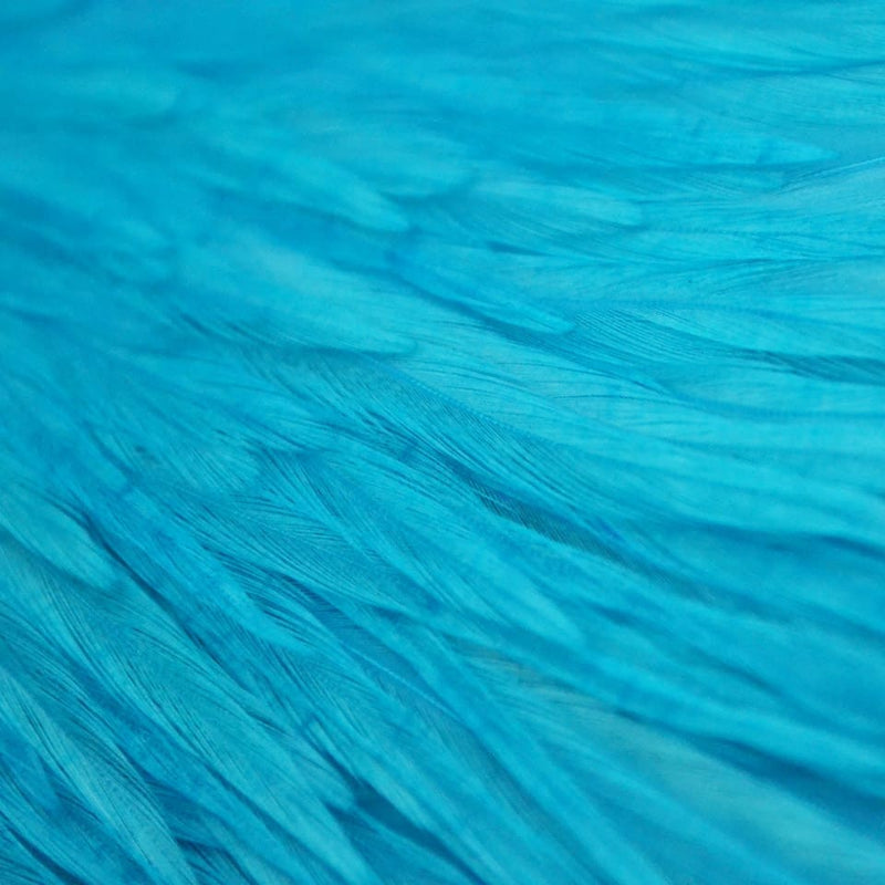 Ewing - Rooster Saddle