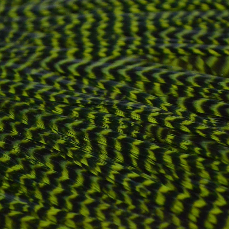 Ewing - Grizzly Rooster Saddle