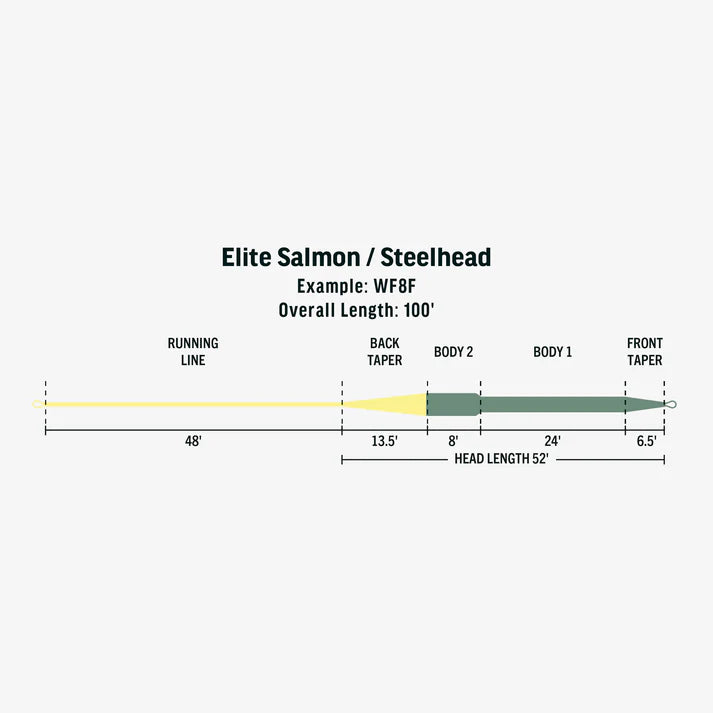 Soie Intouch Salmon Steelhead 
