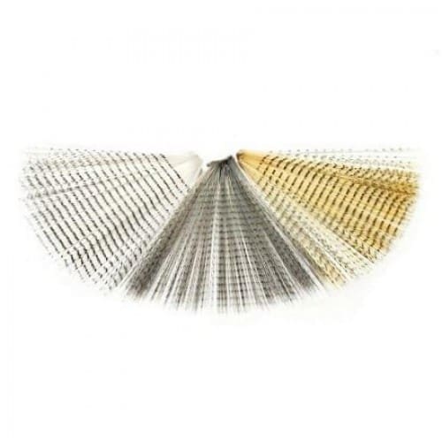 Fibbetts Barred - Mayfly Tail