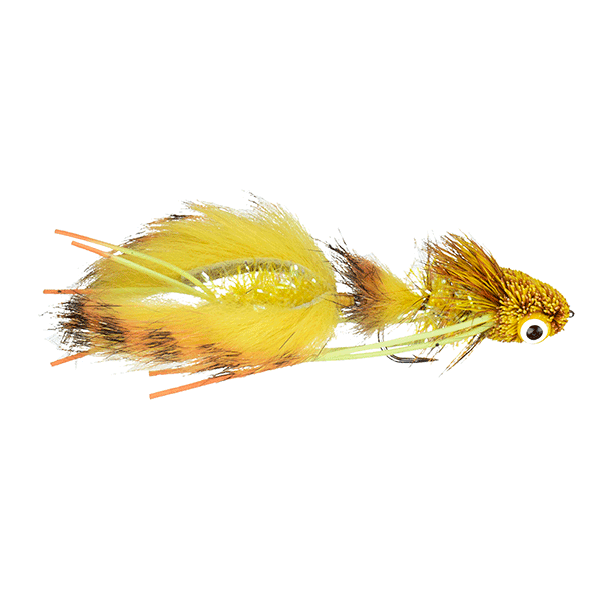 Galloup's Nancy P - Fire Tiger