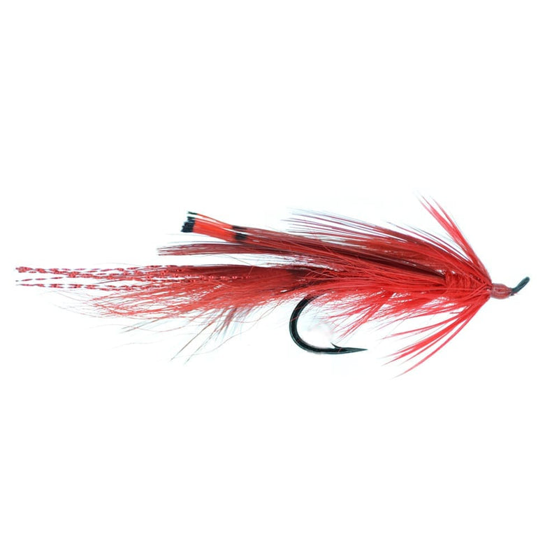 General Practitioner