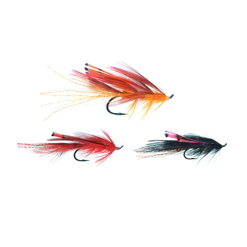 General Practitioner