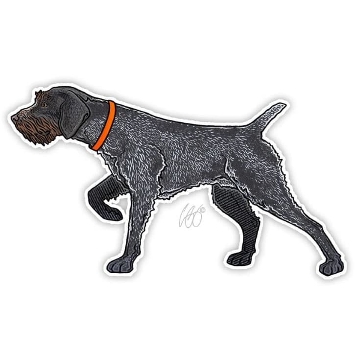 German Wirehaired Pointer Sticker