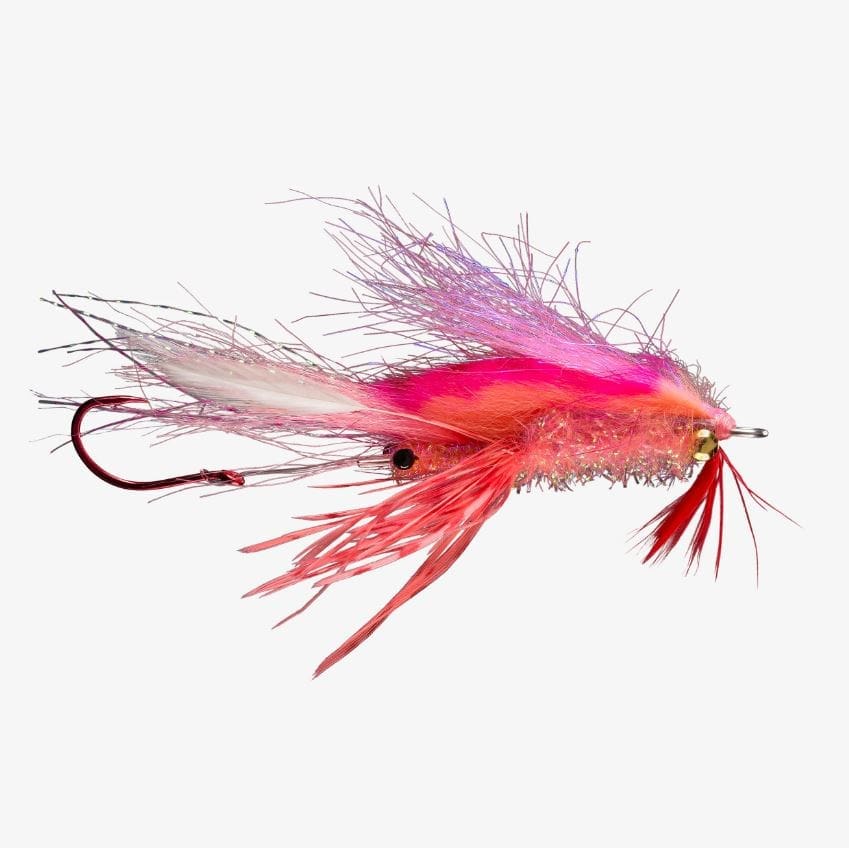 Ghostbuster Shrimp - Pink — Boutique Salmo Nature