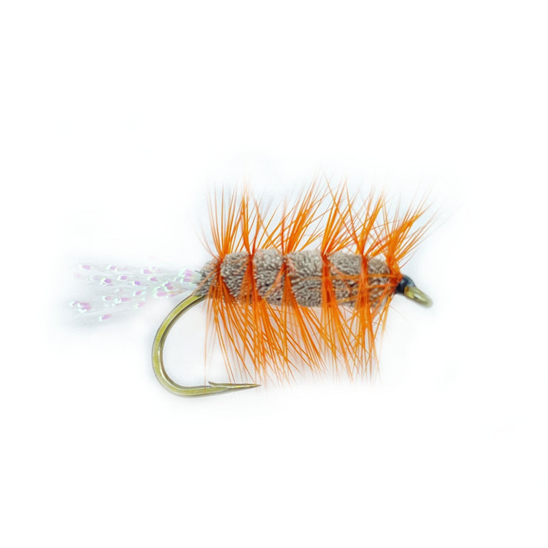 Glitter Bug - Brown/Orange