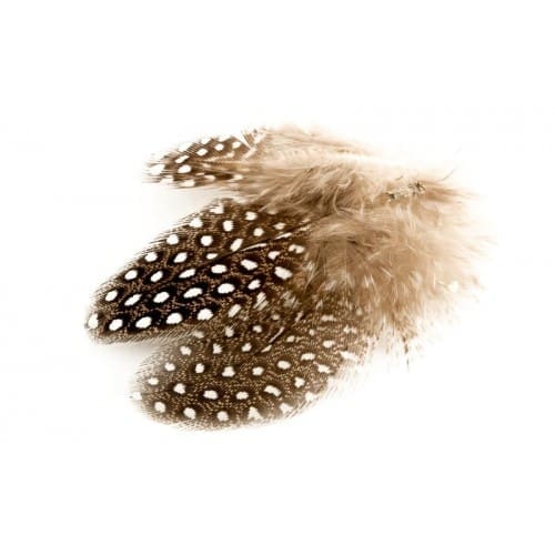 Pintade - Plumes lâches