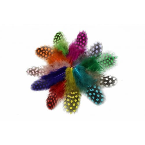 Guinea Fowl - Dyed Feathers