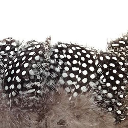 Guinea Fowl Natural - Strung Feathers